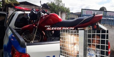 Polícia Militar de Novo Horizonte recupera moto roubada em Rolim de Moura e prende dois...