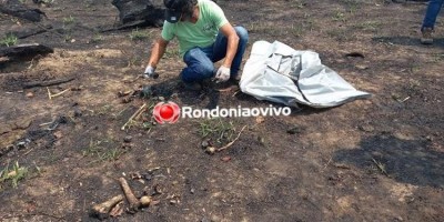 Ossada humana é encontrada por trabalhadores próximo a BR-364 em distrito de Porto Velho