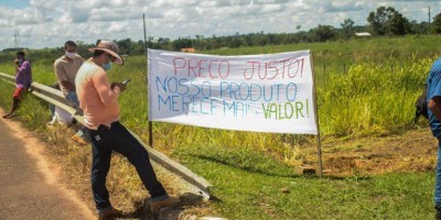 Manifestação contra queda no valor do leite pago a produtores movimenta Seringueiras;...