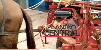 Vídeo mostrando mulher com covid-19 chegando em hospital em Ji-Paraná viraliza na...