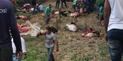 Carreta carregada com 85 cabeças de gado tomba na RO-489 após pane em São Felipe;...