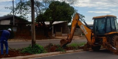 Parceria entre prefeitura e Águas de Rolim viabiliza aquisição de mudas para...