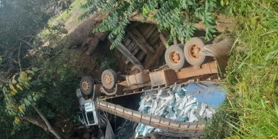 Caminhão carregado de ração cai dentro de rio após ponte de madeira desabar