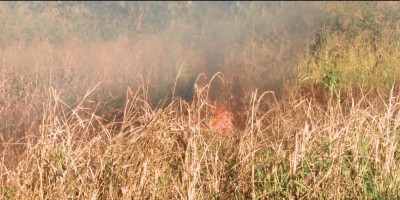 Período de seca mal começou e focos de queimadas já são registradas em Rolim de...