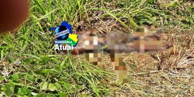 Corpo em estado de decomposição é encontrado próximo a balneário em Ji-Paraná