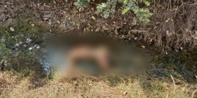 Só de cueca, corpo com possíveis sinais de execução é encontrado na zona rural de...