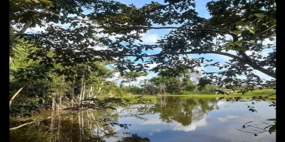 Prefeitura de Rolim de Moura divulga vencedores do concurso de fotografia e vídeo 