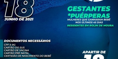 Gestantes e puérperas maiores de 18 anos serão vacinadas contra covid-19 na próxima...