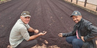SEMAGRI de Rolim de Moura leva cafeicultores para visita técnica em Cacoal