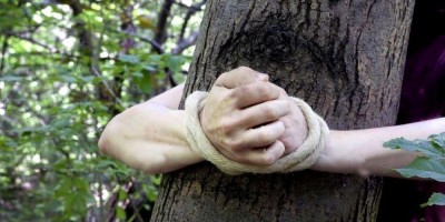 Mulher é agredida, violentada e deixada amarrada em árvore