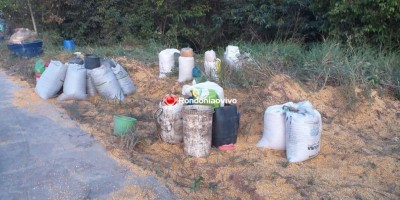 População saqueia carga de milho de carreta que tombou em Porto Velho