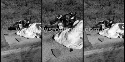 Criança e professor morrem atropelados por carreta na BR-364 em distrito de Porto Velho