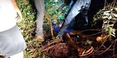 Homem é sequestrado e deixado desacordado em mata ao lado de urubus