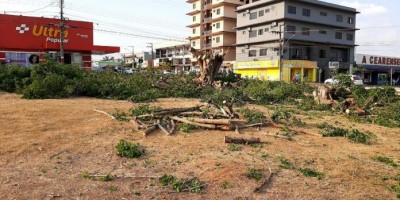 Rolim de Moura: Cortes de árvores que danificam calçadas e tubulações causam revolta...