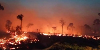 Desastre ambiental: Mais de 400 alqueires de diversas propriedades rurais foram...