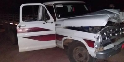 Condutor de caminhonete colide em cavalo solto na pista na RO-383 saída para Santa Luzia