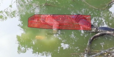 Corpo com sinais de agressão é encontrado boiando em lago na zona rural de Machadinho