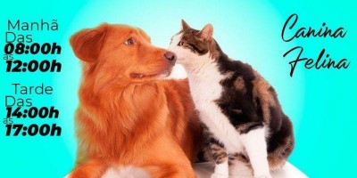 Vacinação antirrábica canina e felina será neste sábado (11) na zona urbana de Rolim...