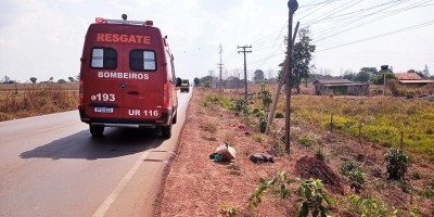 Macaco atravessa na rodovia e causa queda de motociclista em Rolim de Moura