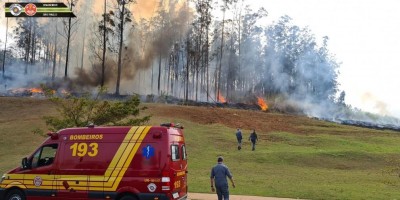 Sete pessoas morrem após queda de aeronave no interior de SP; Veja o vídeo