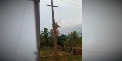 Forte chuva com ventania derrubam árvores e postes e deixa Santa Luzia sem energia; veja...