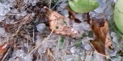 Vendaval e chuva de granizo assustam moradores da zona rural e urbana de Alta Floresta;...