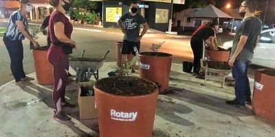 Rolim de Moura: Flores plantadas em vasos para embelezar o Centro da cidade estão sendo...