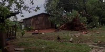 Cerejeiras: Câmeras de monitoramento de sítio captam ventania que arrancou árvores e...