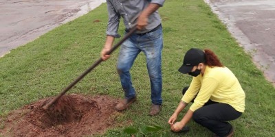 Secretaria de Meio de Ambiente de Rolim de Moura inicia segunda etapa do Projeto Colorir 