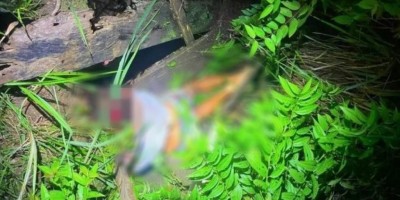 Policial civil aposentado é encontrado morto em seu sítio em Ariquemes