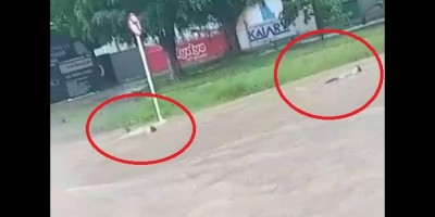 Crianças ignoram perigo e nadam em rua alagada em Ji-Paraná; veja o vídeo