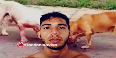 Ladrão é atacado por dois cachorros após invadir escritório para roubar em Porto Velho