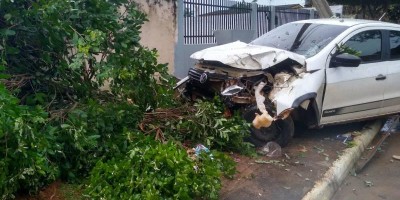 Embriagada, mulher atropela poste e árvore, namorado vem socorrer, mas acaba preso por...