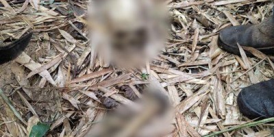 Homens do DNIT acham ossada humana na BR-364 entre Ouro Preto e Ji-Paraná