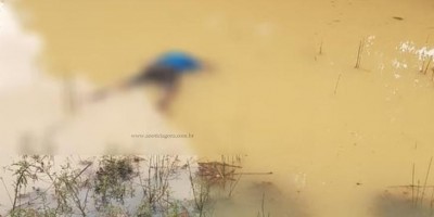 Corpo com as mãos amputadas é encontrado dentro de represa em Vale do Anari