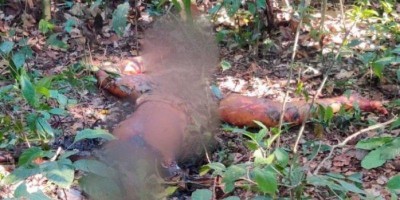 Corpo de mulher encontrado em Seringueiras é identificado