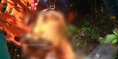 Homem cai de torre de telefonia e passa cinco horas esperando por socorro