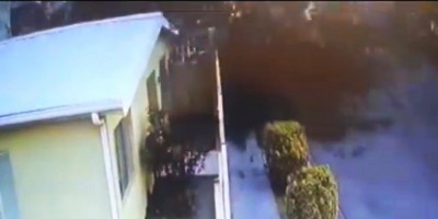 Vídeo flagra momento em que bando de pássaros sobrevoa cidade e caem mortos no chão no...
