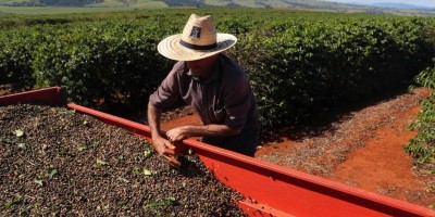 Agropecuária gera 141 mil postos de trabalho em 2021 