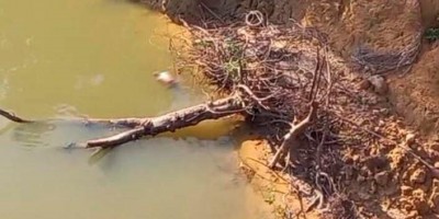 Corpo em decomposição, com pés e mãos amarrados é encontrado boiando próximo a...