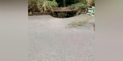 RO-492 em Parecis é interditada após chuva ocasionar erosão em bueiro; veja o vídeo