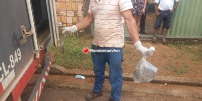Mulher enterra feto em cova rasa após aborto em Porto Velho