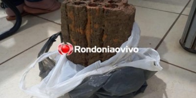 Homem é preso por agredir a mãe e atacar padrasto a tijolada