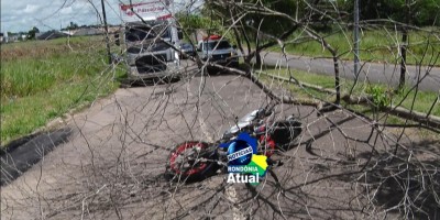 Ji-Paraná: Galho seco cai repentinamente na pista e atinge motocicleta