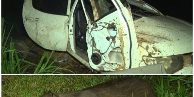 Motorista bate em capivara e capota caminhonete na BR-364 em Cacoal