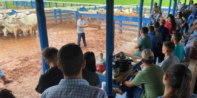 UNIFACIMED leva acadêmicos para aula prática em fazenda 