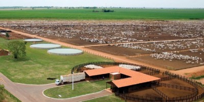 VEJA QUANTOS CONFINAMENTOS TEM A JBS, A GIGANTE DA CARNE  