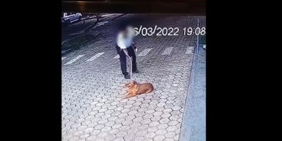Cacoal: Cachorro sendo agredido por porteiro de condomínio vira caso de polícia; veja o...