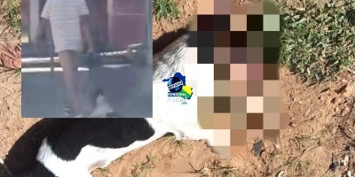 Homem mata cachorro a pauladas, arranca olho e é flagrado arrastando animal morto pelas...