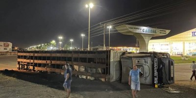 Carreta carregada de bezerros tomba na BR-364, em Cacoal; veja o vídeo